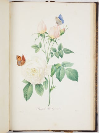 Choix des plus belles fleurs prises dans diff&eacute;rentes familles du r&egrave;gne v&eacute;g&eacute;tal et de quelques branches des plus beaux fruits group&eacute;es quelquefois, et souvent anim&eacute;es par des insectes et des papillons grav&eacute;es, imprim&eacute;es en couleur et retouch&eacute;es au pinceau avec un soin qui doit r&eacute;pondre de leur perfection d&eacute;di&eacute; a LL. AA. RR. les Princesses Louise et Marie d&rsquo;Orl&eacute;ans par P. J. Redout&eacute; Chevalier de la L&eacute;gion d&rsquo;Honneur. . .
