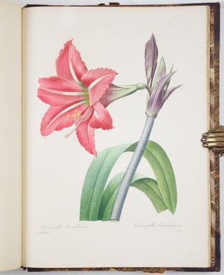 Choix des plus belles fleurs prises dans différentes familles du règne végétal et de quelques branches des plus beaux fruits groupées quelquefois, et souvent animées par des insectes et des papillons gravées, imprimées en couleur et retouchées au pinceau avec un soin qui doit répondre de leur perfection dédié a LL. AA. RR. les Princesses Louise et Marie d’Orléans par P. J. Redouté Chevalier de la Légion d’Honneur. . .