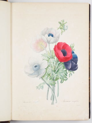 Choix des plus belles fleurs prises dans diff&eacute;rentes familles du r&egrave;gne v&eacute;g&eacute;tal et de quelques branches des plus beaux fruits group&eacute;es quelquefois, et souvent anim&eacute;es par des insectes et des papillons grav&eacute;es, imprim&eacute;es en couleur et retouch&eacute;es au pinceau avec un soin qui doit r&eacute;pondre de leur perfection d&eacute;di&eacute; a LL. AA. RR. les Princesses Louise et Marie d&rsquo;Orl&eacute;ans par P. J. Redout&eacute; Chevalier de la L&eacute;gion d&rsquo;Honneur. . .