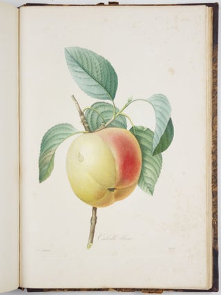 Choix des plus belles fleurs prises dans diff&eacute;rentes familles du r&egrave;gne v&eacute;g&eacute;tal et de quelques branches des plus beaux fruits group&eacute;es quelquefois, et souvent anim&eacute;es par des insectes et des papillons grav&eacute;es, imprim&eacute;es en couleur et retouch&eacute;es au pinceau avec un soin qui doit r&eacute;pondre de leur perfection d&eacute;di&eacute; a LL. AA. RR. les Princesses Louise et Marie d&rsquo;Orl&eacute;ans par P. J. Redout&eacute; Chevalier de la L&eacute;gion d&rsquo;Honneur. . .