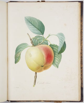 Choix des plus belles fleurs prises dans différentes familles du règne végétal et de quelques branches des plus beaux fruits groupées quelquefois, et souvent animées par des insectes et des papillons gravées, imprimées en couleur et retouchées au pinceau avec un soin qui doit répondre de leur perfection dédié a LL. AA. RR. les Princesses Louise et Marie d’Orléans par P. J. Redouté Chevalier de la Légion d’Honneur. . .
