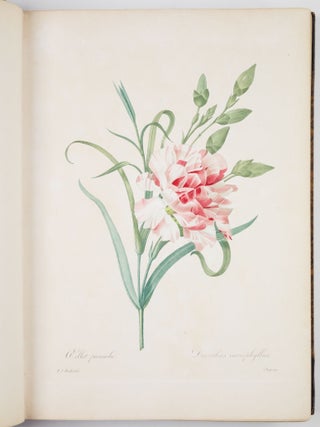 Choix des plus belles fleurs prises dans diff&eacute;rentes familles du r&egrave;gne v&eacute;g&eacute;tal et de quelques branches des plus beaux fruits group&eacute;es quelquefois, et souvent anim&eacute;es par des insectes et des papillons grav&eacute;es, imprim&eacute;es en couleur et retouch&eacute;es au pinceau avec un soin qui doit r&eacute;pondre de leur perfection d&eacute;di&eacute; a LL. AA. RR. les Princesses Louise et Marie d&rsquo;Orl&eacute;ans par P. J. Redout&eacute; Chevalier de la L&eacute;gion d&rsquo;Honneur. . .