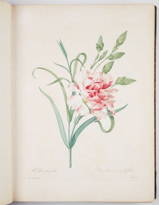 Choix des plus belles fleurs prises dans différentes familles du règne végétal et de quelques branches des plus beaux fruits groupées quelquefois, et souvent animées par des insectes et des papillons gravées, imprimées en couleur et retouchées au pinceau avec un soin qui doit répondre de leur perfection dédié a LL. AA. RR. les Princesses Louise et Marie d’Orléans par P. J. Redouté Chevalier de la Légion d’Honneur. . .