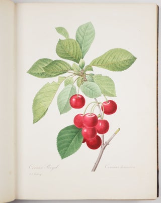 Choix des plus belles fleurs prises dans différentes familles du règne végétal et de quelques branches des plus beaux fruits groupées quelquefois, et souvent animées par des insectes et des papillons gravées, imprimées en couleur et retouchées au pinceau avec un soin qui doit répondre de leur perfection dédié a LL. AA. RR. les Princesses Louise et Marie d’Orléans par P. J. Redouté Chevalier de la Légion d’Honneur. . .