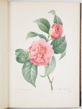 Choix des plus belles fleurs prises dans diff&eacute;rentes familles du r&egrave;gne v&eacute;g&eacute;tal et de quelques branches des plus beaux fruits group&eacute;es quelquefois, et souvent anim&eacute;es par des insectes et des papillons grav&eacute;es, imprim&eacute;es en couleur et retouch&eacute;es au pinceau avec un soin qui doit r&eacute;pondre de leur perfection d&eacute;di&eacute; a LL. AA. RR. les Princesses Louise et Marie d&rsquo;Orl&eacute;ans par P. J. Redout&eacute; Chevalier de la L&eacute;gion d&rsquo;Honneur. . .