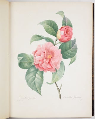 Choix des plus belles fleurs prises dans différentes familles du règne végétal et de quelques branches des plus beaux fruits groupées quelquefois, et souvent animées par des insectes et des papillons gravées, imprimées en couleur et retouchées au pinceau avec un soin qui doit répondre de leur perfection dédié a LL. AA. RR. les Princesses Louise et Marie d’Orléans par P. J. Redouté Chevalier de la Légion d’Honneur. . .