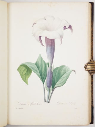 Choix des plus belles fleurs prises dans diff&eacute;rentes familles du r&egrave;gne v&eacute;g&eacute;tal et de quelques branches des plus beaux fruits group&eacute;es quelquefois, et souvent anim&eacute;es par des insectes et des papillons grav&eacute;es, imprim&eacute;es en couleur et retouch&eacute;es au pinceau avec un soin qui doit r&eacute;pondre de leur perfection d&eacute;di&eacute; a LL. AA. RR. les Princesses Louise et Marie d&rsquo;Orl&eacute;ans par P. J. Redout&eacute; Chevalier de la L&eacute;gion d&rsquo;Honneur. . .