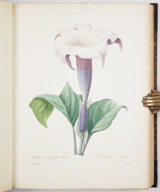 Choix des plus belles fleurs prises dans différentes familles du règne végétal et de quelques branches des plus beaux fruits groupées quelquefois, et souvent animées par des insectes et des papillons gravées, imprimées en couleur et retouchées au pinceau avec un soin qui doit répondre de leur perfection dédié a LL. AA. RR. les Princesses Louise et Marie d’Orléans par P. J. Redouté Chevalier de la Légion d’Honneur. . .