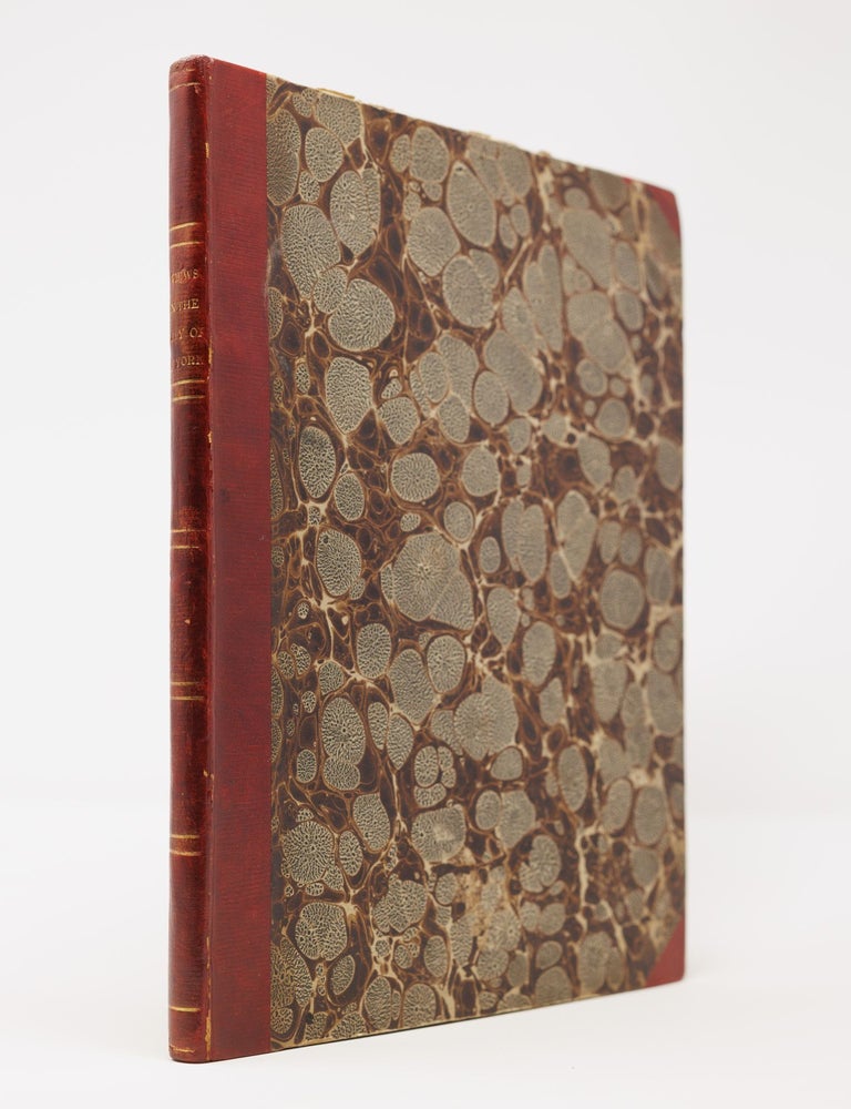 Views in New-York and its Environs, from Accurate, Characteristic & Picturesque drawings, Theodore Sedgwick Fay, illust. James.