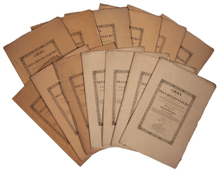 The printed part-wrappers for the large-paper issue of Redouté's Choix des plus belles fleurs