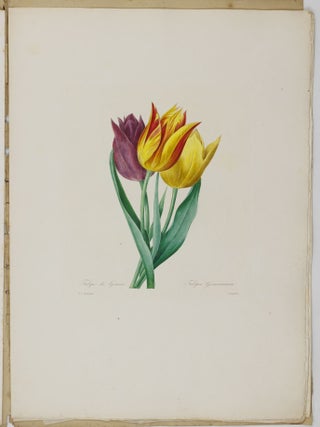 Choix des plus belles fleurs prises dans diff&eacute;rentes familles du r&egrave;gne v&eacute;g&eacute;tal et de quelques branches des plus beaux fruits group&eacute;es quelquefois, et souvent anim&eacute;es par des insectes et des papillons grav&eacute;es, imprim&eacute;es en couleur et retouch&eacute;es au pinceau avec un soin qui doit r&eacute;pondre de leur perfection d&eacute;di&eacute; a LL. AA. RR. les Princesses Louise et Marie d'Orl&eacute;ans par P. J. Redout&eacute; Chevalier de la L&eacute;gion d'Honneur. . .
