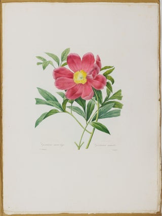 Choix des plus belles fleurs prises dans diff&eacute;rentes familles du r&egrave;gne v&eacute;g&eacute;tal et de quelques branches des plus beaux fruits group&eacute;es quelquefois, et souvent anim&eacute;es par des insectes et des papillons grav&eacute;es, imprim&eacute;es en couleur et retouch&eacute;es au pinceau avec un soin qui doit r&eacute;pondre de leur perfection d&eacute;di&eacute; a LL. AA. RR. les Princesses Louise et Marie d'Orl&eacute;ans par P. J. Redout&eacute; Chevalier de la L&eacute;gion d'Honneur. . .