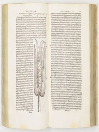 Primo [Secondo- Terzo-] volume & Quarta editione. Delle navigationi et viaggi raccolto da M. Gio. Batt. Ramusio, & con molti vaghi discorsi, da lui in molti luoghi dichiarato, & illustrato. Nel quale si contengono. . .