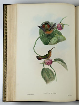 A monograph of the trochilidæ or family of humming-birds WITH A monograph of the trochilidæ or family of humming-birds by John Gould, F.R.S. completed after the author’s death by R. Bowdler Sharpe, F.L.S. &c., zoological department, British Museum. Supplement