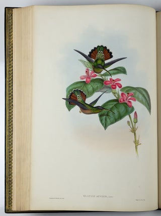 A monograph of the trochilidæ or family of humming-birds WITH A monograph of the trochilidæ or family of humming-birds by John Gould, F.R.S. completed after the author’s death by R. Bowdler Sharpe, F.L.S. &c., zoological department, British Museum. Supplement