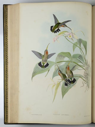 A monograph of the trochilidæ or family of humming-birds WITH A monograph of the trochilidæ or family of humming-birds by John Gould, F.R.S. completed after the author’s death by R. Bowdler Sharpe, F.L.S. &c., zoological department, British Museum. Supplement