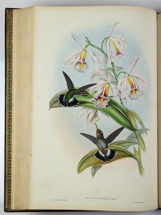 A monograph of the trochilidæ or family of humming-birds WITH A monograph of the trochilidæ or family of humming-birds by John Gould, F.R.S. completed after the author’s death by R. Bowdler Sharpe, F.L.S. &c., zoological department, British Museum. Supplement