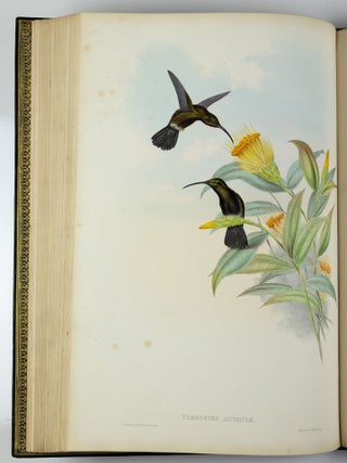 A monograph of the trochilidæ or family of humming-birds WITH A monograph of the trochilidæ or family of humming-birds by John Gould, F.R.S. completed after the author’s death by R. Bowdler Sharpe, F.L.S. &c., zoological department, British Museum. Supplement