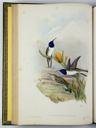 A monograph of the trochilidæ or family of humming-birds WITH A monograph of the trochilidæ or family of humming-birds by John Gould, F.R.S. completed after the author’s death by R. Bowdler Sharpe, F.L.S. &c., zoological department, British Museum. Supplement