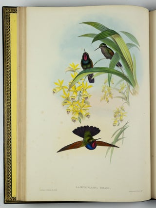 A monograph of the trochilidæ or family of humming-birds WITH A monograph of the trochilidæ or family of humming-birds by John Gould, F.R.S. completed after the author’s death by R. Bowdler Sharpe, F.L.S. &c., zoological department, British Museum. Supplement