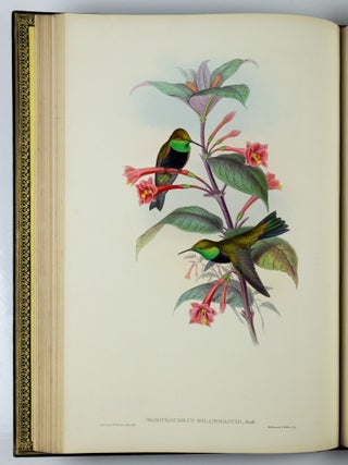 A monograph of the trochilidæ or family of humming-birds WITH A monograph of the trochilidæ or family of humming-birds by John Gould, F.R.S. completed after the author’s death by R. Bowdler Sharpe, F.L.S. &c., zoological department, British Museum. Supplement