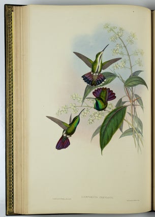 A monograph of the trochilidæ or family of humming-birds WITH A monograph of the trochilidæ or family of humming-birds by John Gould, F.R.S. completed after the author’s death by R. Bowdler Sharpe, F.L.S. &c., zoological department, British Museum. Supplement