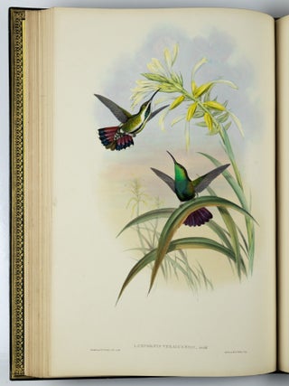 A monograph of the trochilidæ or family of humming-birds WITH A monograph of the trochilidæ or family of humming-birds by John Gould, F.R.S. completed after the author’s death by R. Bowdler Sharpe, F.L.S. &c., zoological department, British Museum. Supplement