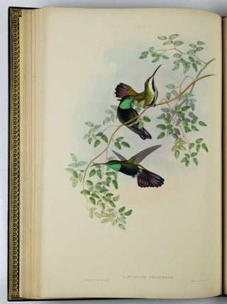 A monograph of the trochilidæ or family of humming-birds WITH A monograph of the trochilidæ or family of humming-birds by John Gould, F.R.S. completed after the author’s death by R. Bowdler Sharpe, F.L.S. &c., zoological department, British Museum. Supplement
