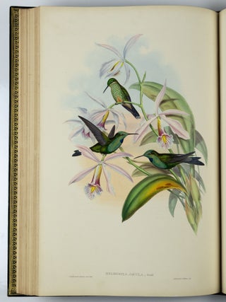 A monograph of the trochilidæ or family of humming-birds WITH A monograph of the trochilidæ or family of humming-birds by John Gould, F.R.S. completed after the author’s death by R. Bowdler Sharpe, F.L.S. &c., zoological department, British Museum. Supplement