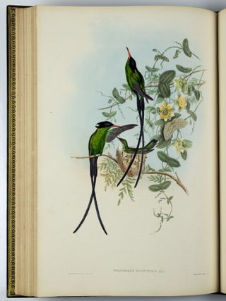 A monograph of the trochilidæ or family of humming-birds WITH A monograph of the trochilidæ or family of humming-birds by John Gould, F.R.S. completed after the author’s death by R. Bowdler Sharpe, F.L.S. &c., zoological department, British Museum. Supplement