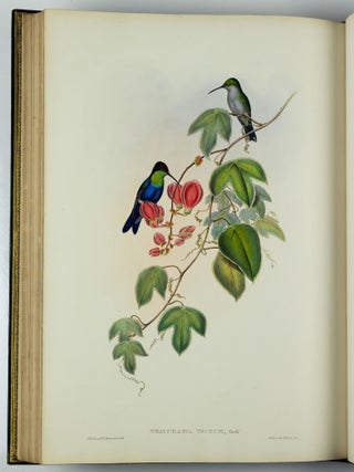 A monograph of the trochilidæ or family of humming-birds WITH A monograph of the trochilidæ or family of humming-birds by John Gould, F.R.S. completed after the author’s death by R. Bowdler Sharpe, F.L.S. &c., zoological department, British Museum. Supplement