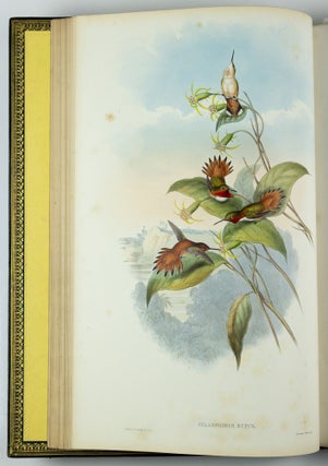 A monograph of the trochilidæ or family of humming-birds WITH A monograph of the trochilidæ or family of humming-birds by John Gould, F.R.S. completed after the author’s death by R. Bowdler Sharpe, F.L.S. &c., zoological department, British Museum. Supplement