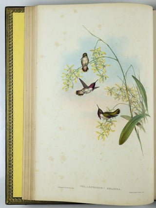A monograph of the trochilidæ or family of humming-birds WITH A monograph of the trochilidæ or family of humming-birds by John Gould, F.R.S. completed after the author’s death by R. Bowdler Sharpe, F.L.S. &c., zoological department, British Museum. Supplement