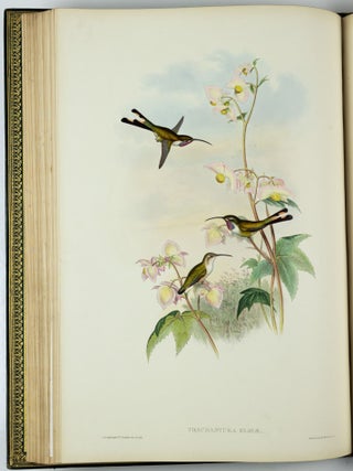 A monograph of the trochilidæ or family of humming-birds WITH A monograph of the trochilidæ or family of humming-birds by John Gould, F.R.S. completed after the author’s death by R. Bowdler Sharpe, F.L.S. &c., zoological department, British Museum. Supplement