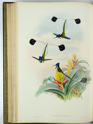 A monograph of the trochilidæ or family of humming-birds WITH A monograph of the trochilidæ or family of humming-birds by John Gould, F.R.S. completed after the author’s death by R. Bowdler Sharpe, F.L.S. &c., zoological department, British Museum. Supplement