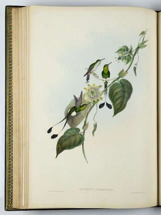 A monograph of the trochilidæ or family of humming-birds WITH A monograph of the trochilidæ or family of humming-birds by John Gould, F.R.S. completed after the author’s death by R. Bowdler Sharpe, F.L.S. &c., zoological department, British Museum. Supplement