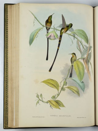 A monograph of the trochilidæ or family of humming-birds WITH A monograph of the trochilidæ or family of humming-birds by John Gould, F.R.S. completed after the author’s death by R. Bowdler Sharpe, F.L.S. &c., zoological department, British Museum. Supplement