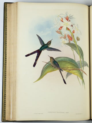 A monograph of the trochilidæ or family of humming-birds WITH A monograph of the trochilidæ or family of humming-birds by John Gould, F.R.S. completed after the author’s death by R. Bowdler Sharpe, F.L.S. &c., zoological department, British Museum. Supplement