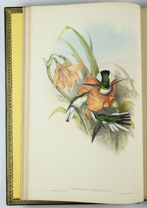 A monograph of the trochilidæ or family of humming-birds WITH A monograph of the trochilidæ or family of humming-birds by John Gould, F.R.S. completed after the author’s death by R. Bowdler Sharpe, F.L.S. &c., zoological department, British Museum. Supplement