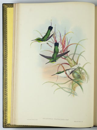 A monograph of the trochilidæ or family of humming-birds WITH A monograph of the trochilidæ or family of humming-birds by John Gould, F.R.S. completed after the author’s death by R. Bowdler Sharpe, F.L.S. &c., zoological department, British Museum. Supplement