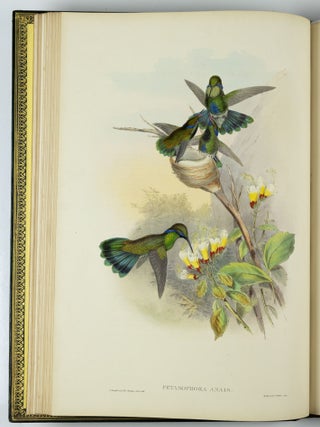A monograph of the trochilidæ or family of humming-birds WITH A monograph of the trochilidæ or family of humming-birds by John Gould, F.R.S. completed after the author’s death by R. Bowdler Sharpe, F.L.S. &c., zoological department, British Museum. Supplement