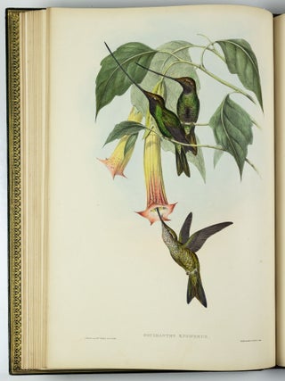 A monograph of the trochilidæ or family of humming-birds WITH A monograph of the trochilidæ or family of humming-birds by John Gould, F.R.S. completed after the author’s death by R. Bowdler Sharpe, F.L.S. &c., zoological department, British Museum. Supplement