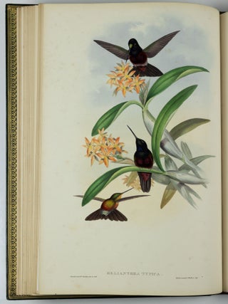 A monograph of the trochilidæ or family of humming-birds WITH A monograph of the trochilidæ or family of humming-birds by John Gould, F.R.S. completed after the author’s death by R. Bowdler Sharpe, F.L.S. &c., zoological department, British Museum. Supplement