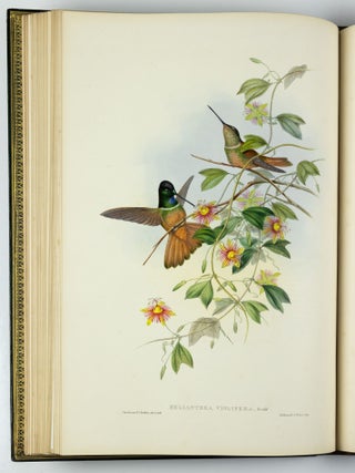 A monograph of the trochilidæ or family of humming-birds WITH A monograph of the trochilidæ or family of humming-birds by John Gould, F.R.S. completed after the author’s death by R. Bowdler Sharpe, F.L.S. &c., zoological department, British Museum. Supplement