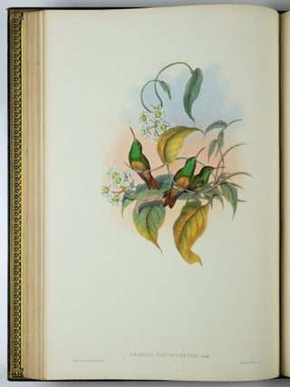 A monograph of the trochilidæ or family of humming-birds WITH A monograph of the trochilidæ or family of humming-birds by John Gould, F.R.S. completed after the author’s death by R. Bowdler Sharpe, F.L.S. &c., zoological department, British Museum. Supplement