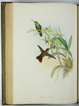 A monograph of the trochilidæ or family of humming-birds WITH A monograph of the trochilidæ or family of humming-birds by John Gould, F.R.S. completed after the author’s death by R. Bowdler Sharpe, F.L.S. &c., zoological department, British Museum. Supplement