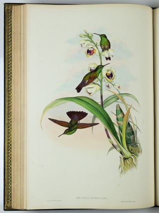A monograph of the trochilidæ or family of humming-birds WITH A monograph of the trochilidæ or family of humming-birds by John Gould, F.R.S. completed after the author’s death by R. Bowdler Sharpe, F.L.S. &c., zoological department, British Museum. Supplement
