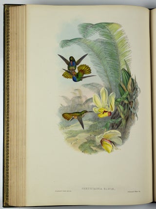 A monograph of the trochilidæ or family of humming-birds WITH A monograph of the trochilidæ or family of humming-birds by John Gould, F.R.S. completed after the author’s death by R. Bowdler Sharpe, F.L.S. &c., zoological department, British Museum. Supplement