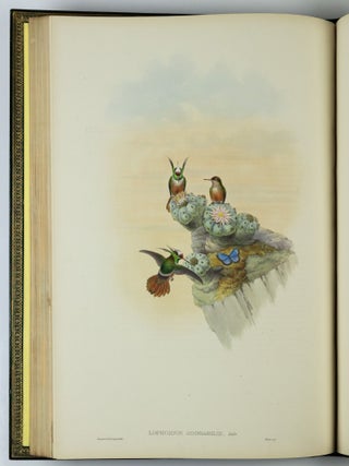 A monograph of the trochilidæ or family of humming-birds WITH A monograph of the trochilidæ or family of humming-birds by John Gould, F.R.S. completed after the author’s death by R. Bowdler Sharpe, F.L.S. &c., zoological department, British Museum. Supplement