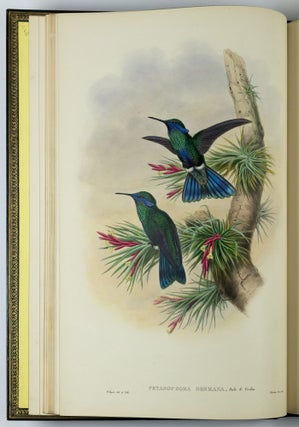 A monograph of the trochilidæ or family of humming-birds WITH A monograph of the trochilidæ or family of humming-birds by John Gould, F.R.S. completed after the author’s death by R. Bowdler Sharpe, F.L.S. &c., zoological department, British Museum. Supplement